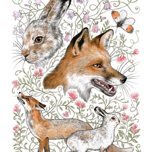 Northern Flora & Fauna (signed art print)
