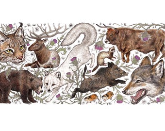 Extinct Mammals of Scotland (signed art print)
