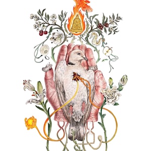Joanna Newsom - Sawdust & Diamonds (signed art print)