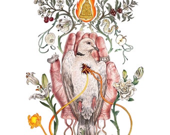 Joanna Newsom - Sawdust & Diamonds (signed art print)