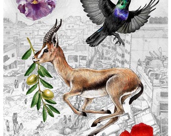 Flora & Fauna of Palestine Over Gaza (signed art print)