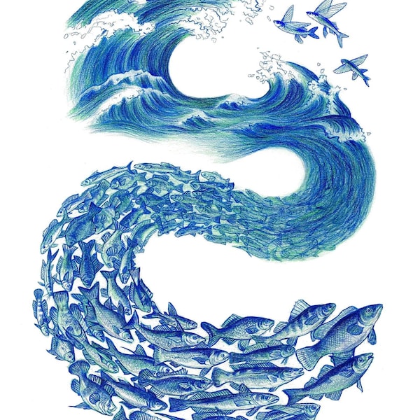 Freedom For Fishes (signed art print)