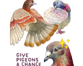 Give Pigeons A Chance (signed art print)