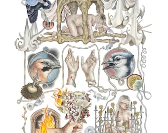 Joanna Newsom - Go Long (signed art print)