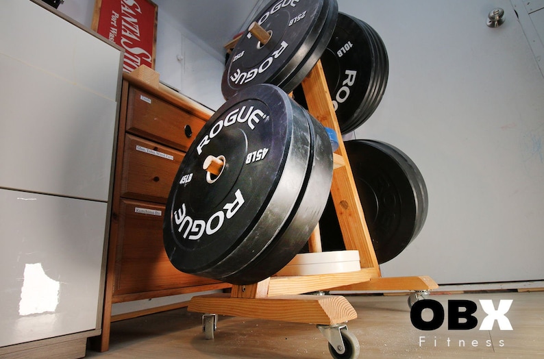 May include: A wooden weight plate stand with four black weight plates. The plates are labeled "Rogue" and have different weights. The stand has wheels and is labeled "OBX Fitness".