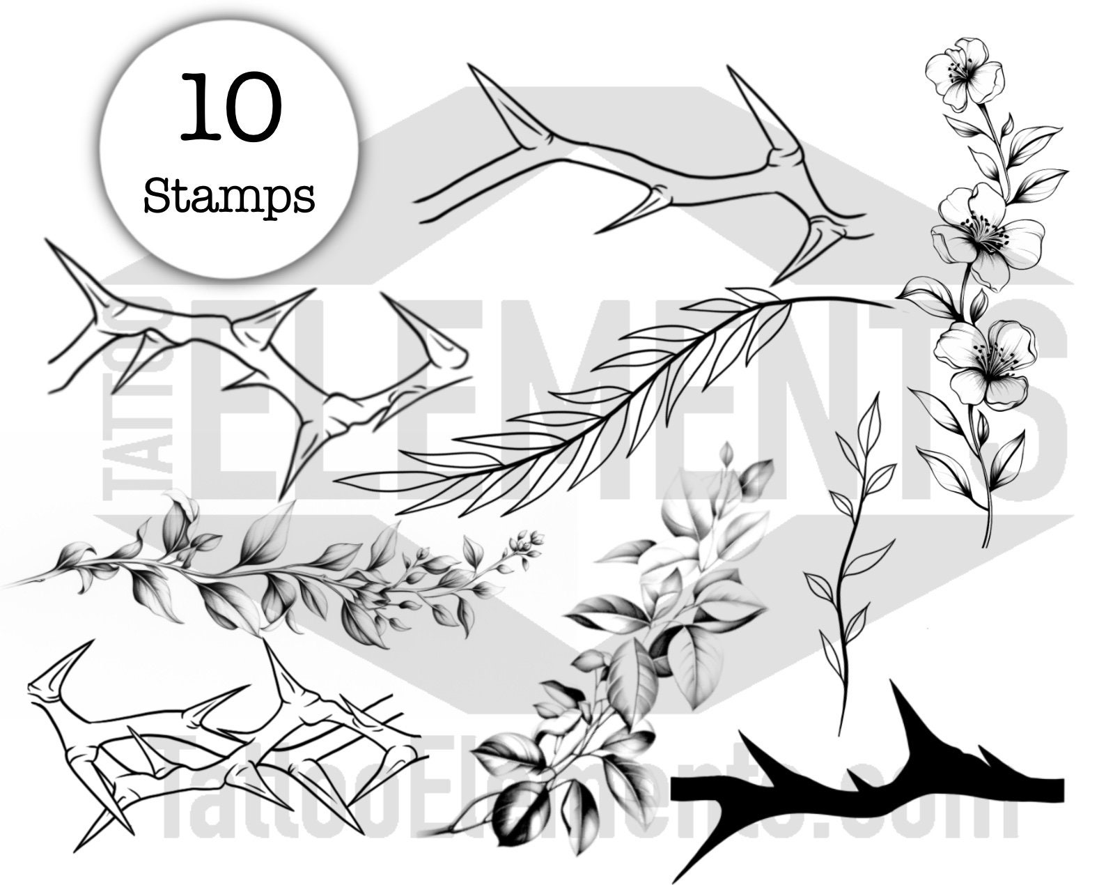 Thumbnail 5