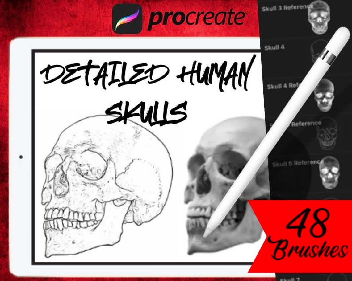48 Detailed Human Skull Procreate Brushset | Etsy