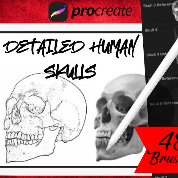 48 pinceaux détaillés pour procréer un crâne humain