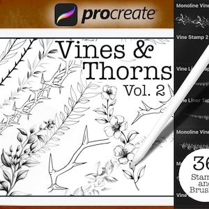 Vines and Thorns Vol. 2 | Procreate Stamp and Brush set
