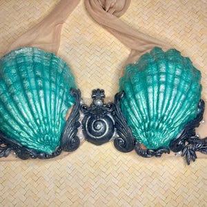 Custom Venus Shell Top