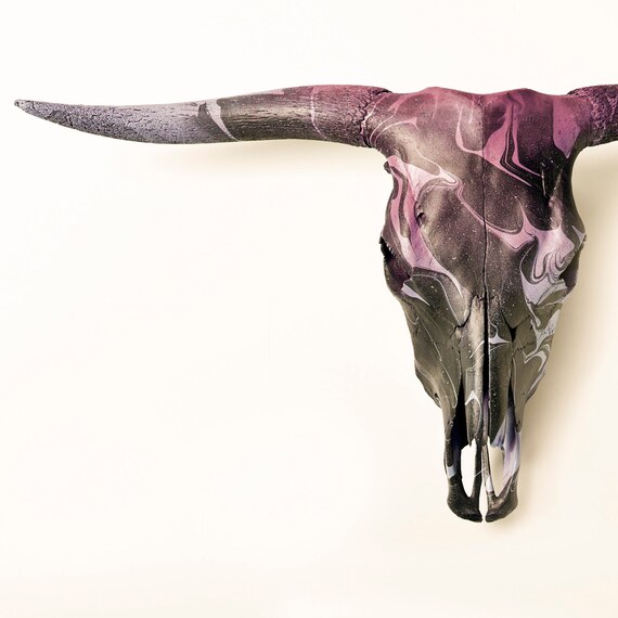 Bull Skull Deco Wall Decoration Real Bull Head Antler Horn Etsy