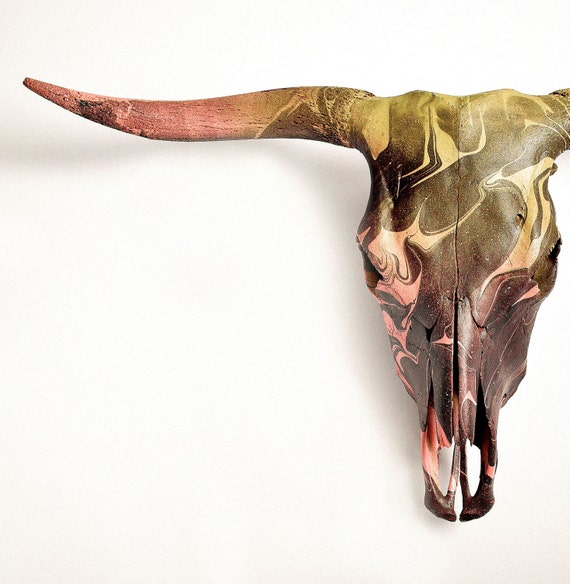 Bull Skull Deco Wall Decoration Real Bull Head Antler Horn Etsy