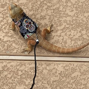 Bearded Dragon Leash, Bearded Dragon Harness, Lizard Leash, Lizard Harness, Bearded Dragon Accessories, Emotional Support Animal