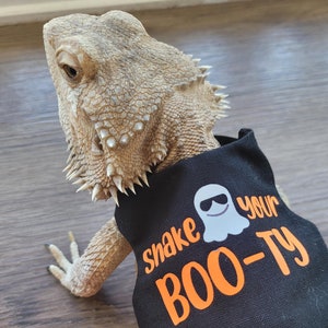 May include: A bearded dragon wearing a black harness with an orange and white ghost graphic that says "Shake Your Boo-Ty". The harness is attached to an orange leash.