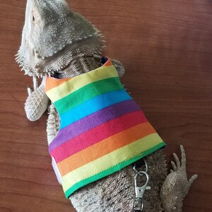 Bearded Dragon Leash, Bearded Dragon Harness, Lizard Leash, Lizard Harness, Bearded Dragon Accessories