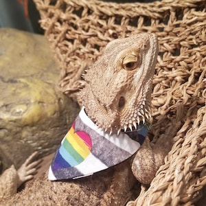 Bearded Dragon Bandana , Bearded Dragon Harness, Lizard Leash, Lizard Harness, Bearded Dragon Accessories