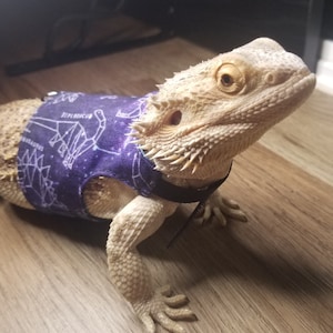 Bearded Dragon Leash, Bearded Dragon Harness, Lizard Leash, Lizard Harness, Bearded Dragon Accessories