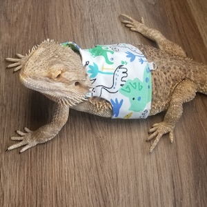 Bearded dragon accessories cheap