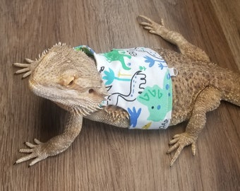 lizard accessories