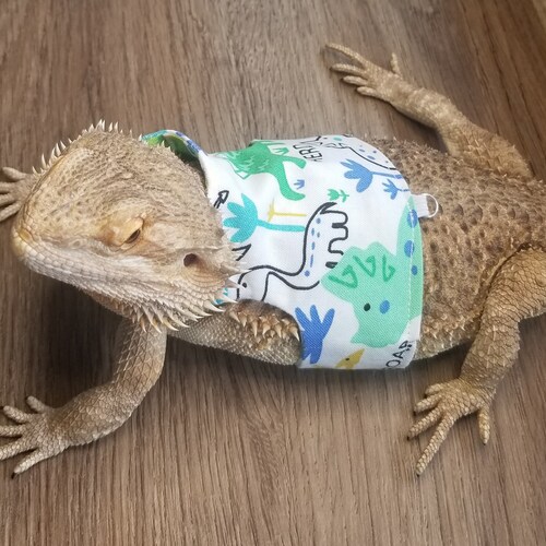 Bearded Dragon Clothing Pumpkin Etsy