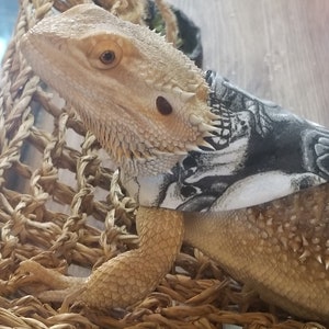 Bearded Dragon Bandana , Bearded Dragon Harness, Lizard Leash, Lizard Harness, Bearded Dragon Accessories