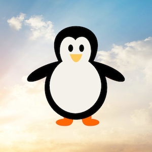May include: A cartoon penguin with black and white coloring and orange feet against a blue sky with white clouds.
