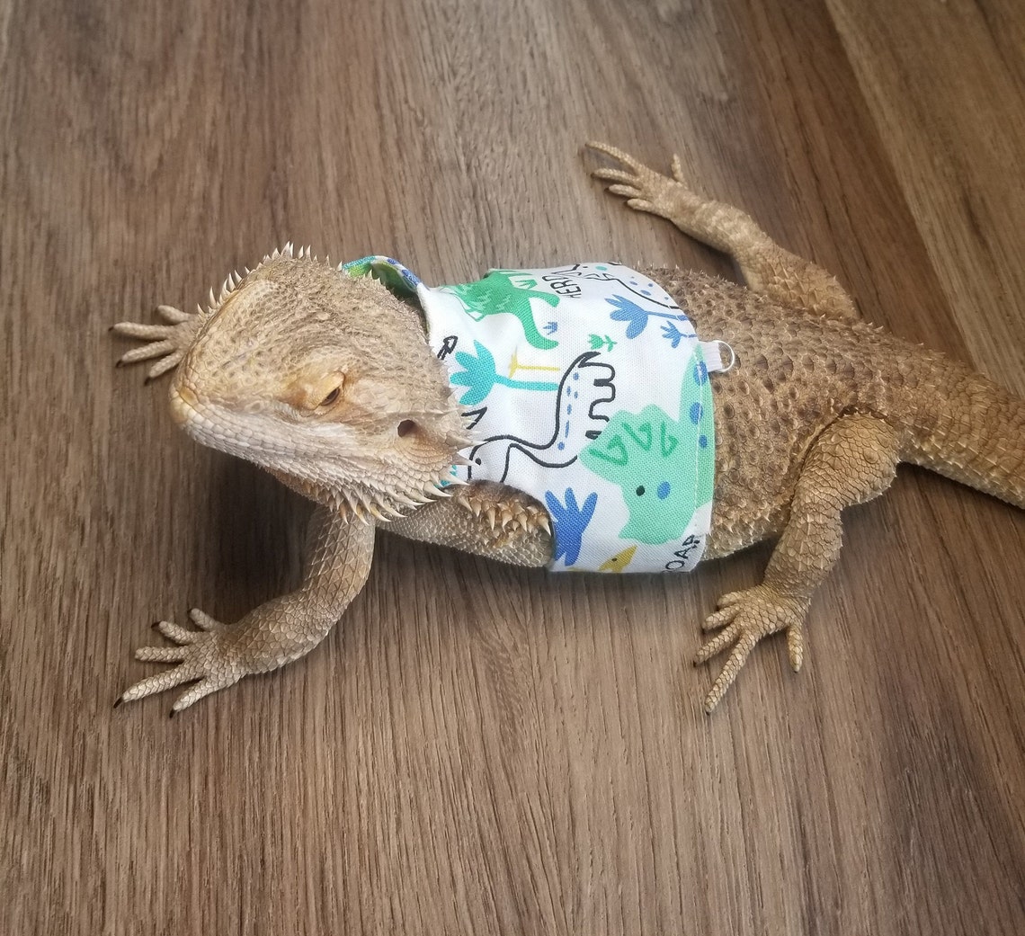Bearded Dragon Leash Bearded Dragon Harness Lizard Leash Etsy