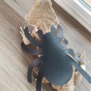 Halloween Costume, lizard costume, rodent costume, Halloween Pictures, Bearded Dragon Costume, reptile  costume