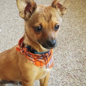 XX-Large Dog Bandana PDF Pattern- Sewing Pattern