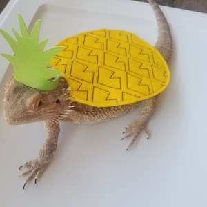 Halloween Costume, Pineapple Costume, One in a melon, Halloween Pictures, Bearded Dragon Costume