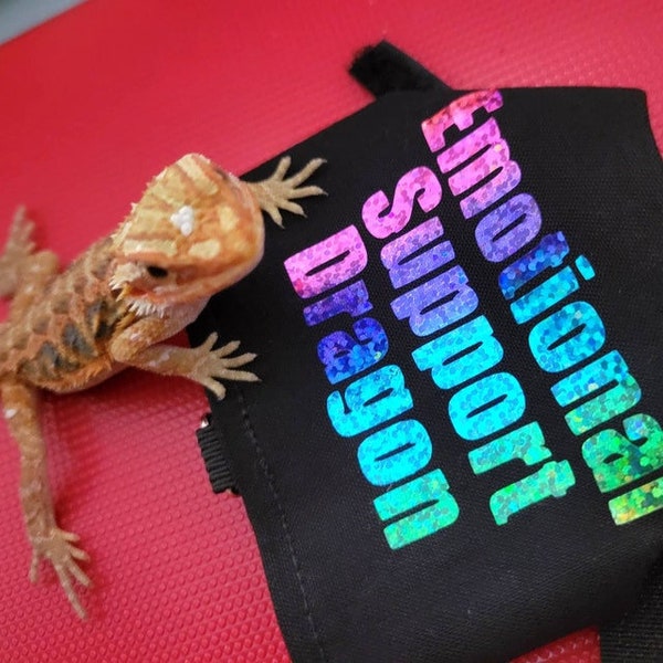 Bearded Dragon Emotional Support Animal Etsy