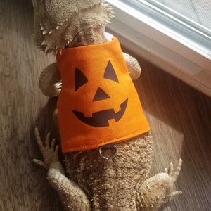 Bearded Dragon Costume, Halloween Costume, Bearded Dragon Harness, Lizard Leash, Lizard Harness, Bearded Dragon Accessories