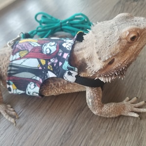 Bearded Dragon Leash, Bearded Dragon Harness, Lizard Leash, Lizard Harness, Bearded Dragon Accessories