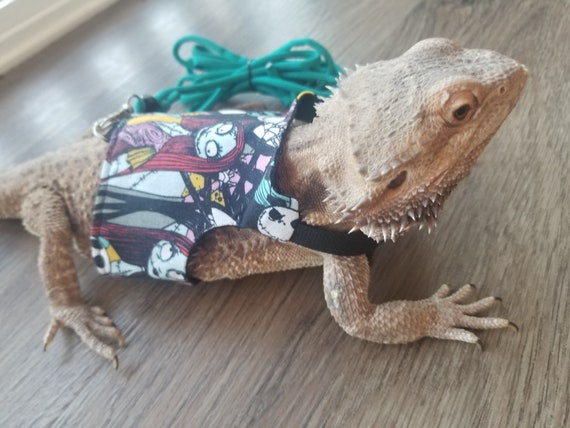 Bearded Dragon Leash Bearded Dragon Harness Lizard Leash Lizard
