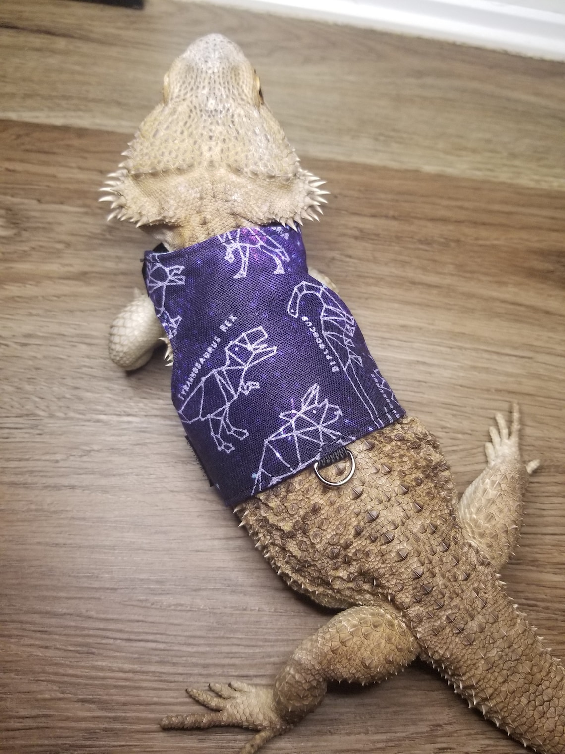 Bearded Dragon Leash Bearded Dragon Harness Lizard Leash Etsy