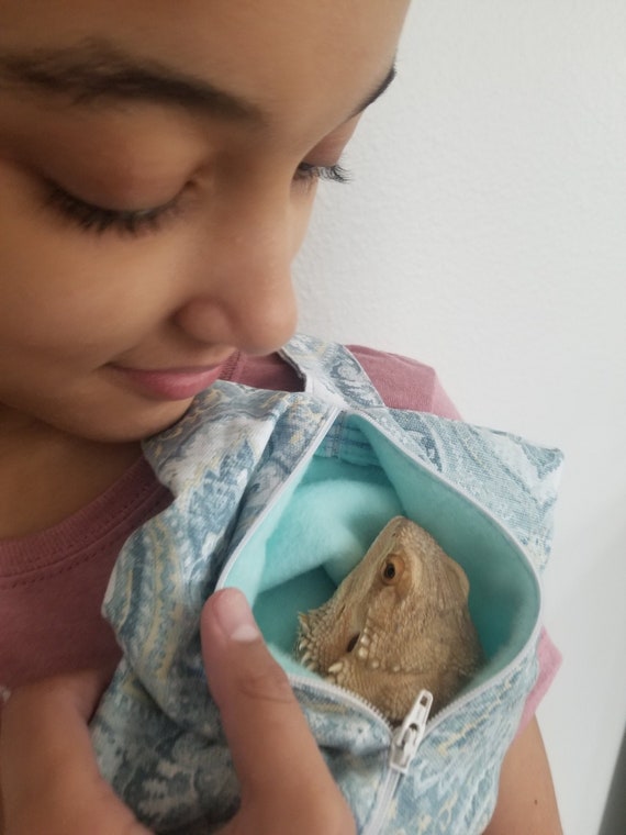 Bearded dragon baby carrier discount