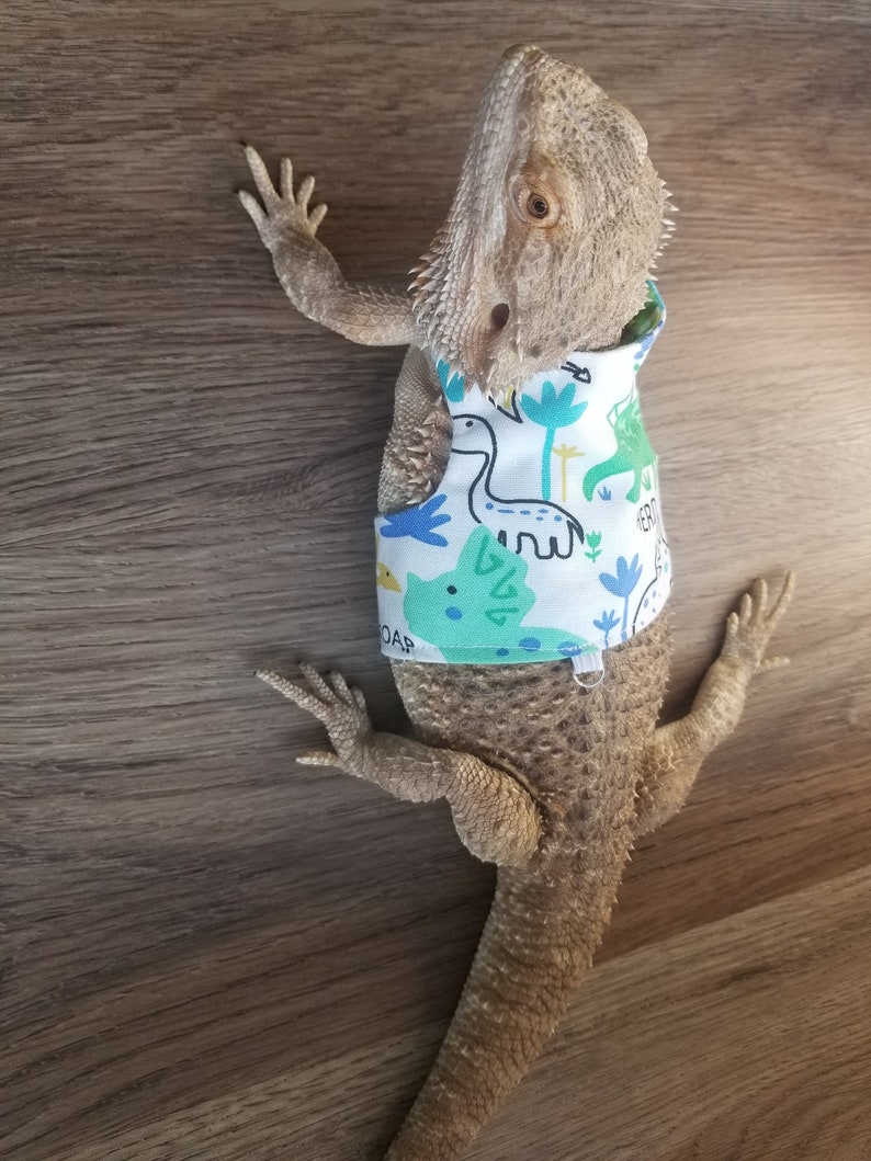 Bearded Dragon Leash, Bearded Dragon Harness, Lizard Leash, Lizard Harness, Bearded Dragon Accessories - UK