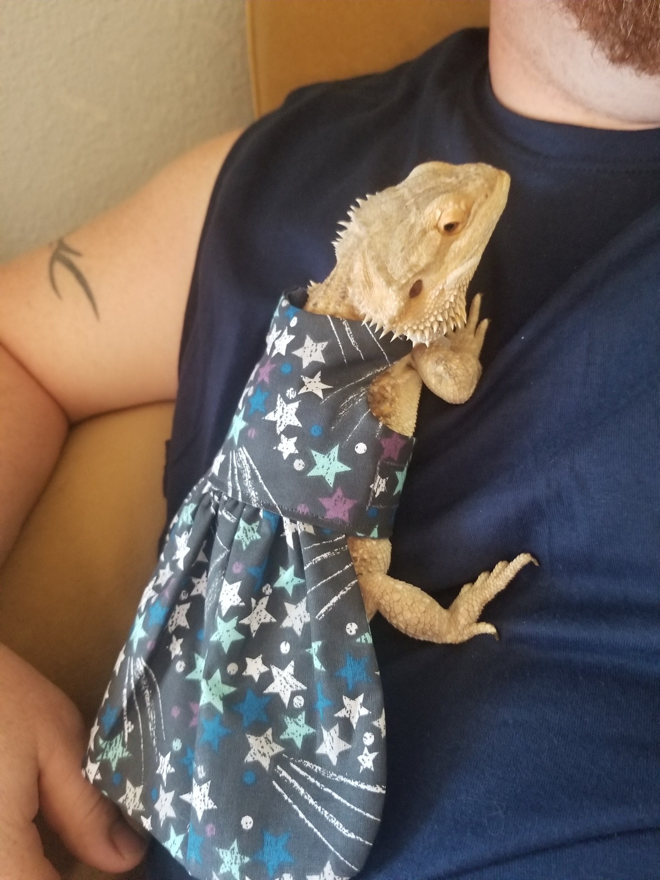 Bearded dragon dress Etsy