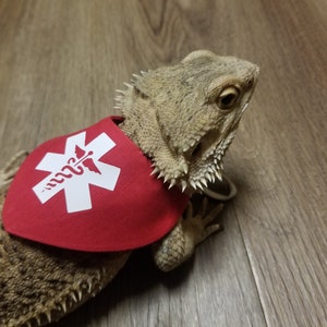 Emotional Support Animal Bearded Dragon Bandana, Bearded Dragon Harness, Lizard Leash, Lizard Harness, Bearded Dragon Accessories ESA