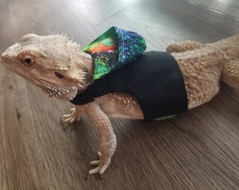 May include: A beige bearded dragon wearing a black and green reptile harness with a colorful hooded top.