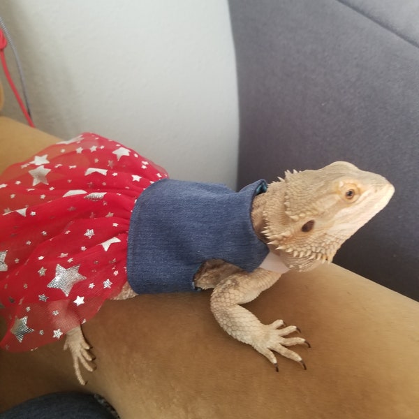 Bearded Dragon Dress