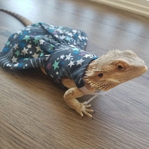 Bearded dragon dress