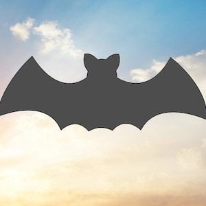 May include: Silhouette of a bat against a blue and orange cloudy sky.