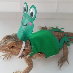Halloween Costume for a Bearded Dragon, Mermaid Costume, Mermaid Tail, Halloween Pictures, Bearded Dragon, Costume, Bearded Dragon Costume