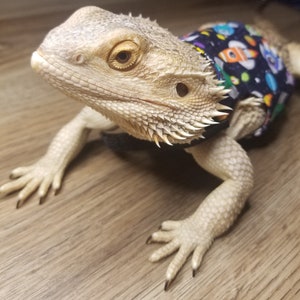 Bearded Dragon Leash, Bearded Dragon Harness, Lizard Leash, Lizard Harness, Bearded Dragon Accessories