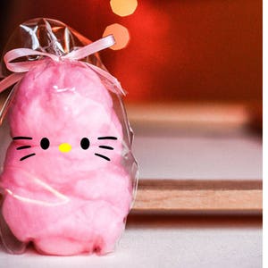 Cotton Candy Kitty Party Favors Kitty Treat sacs Kitty Birthday Party, Cat Birthday Party, Kitty Theme, Cat Party, Cat Party Decoration image 1