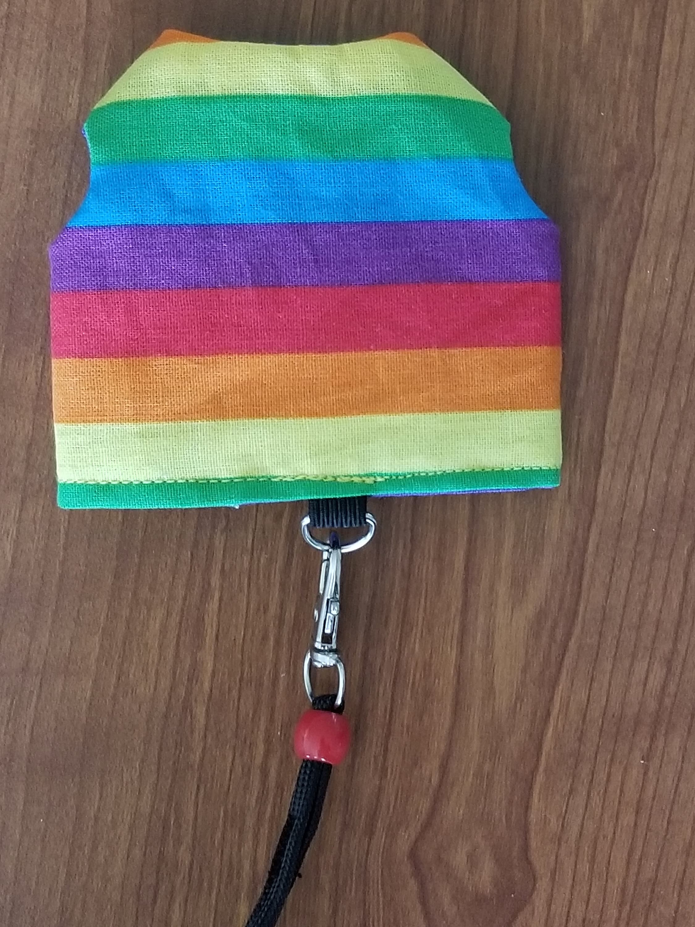 Bearded Dragon Leash Bearded Dragon Harness Lizard Leash Etsy