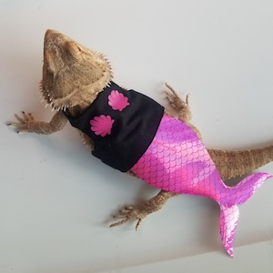 Halloween Costume for a Bearded Dragon, Mermaid Costume, Mermaid Tail, Halloween Pictures, Bearded Dragon, Costume, Bearded Dragon Costume