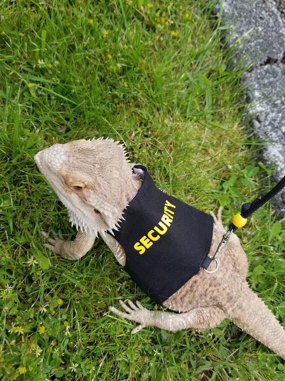 Bearded Dragon Leash, Bearded Dragon Harness, Lizard Leash, Lizard Harness, Bearded Dragon Accessories - UK