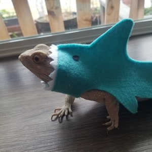Halloween Costume, Crayon Costume, Crayon Hat, Halloween Pictures, Bearded Dragon Costume